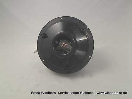 Motor/12v