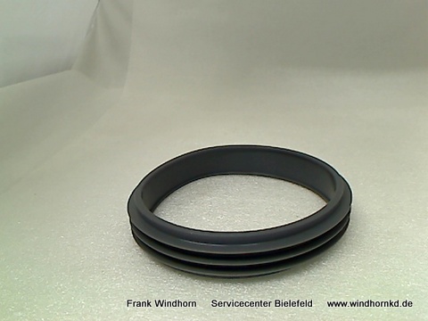 Dichtungsring