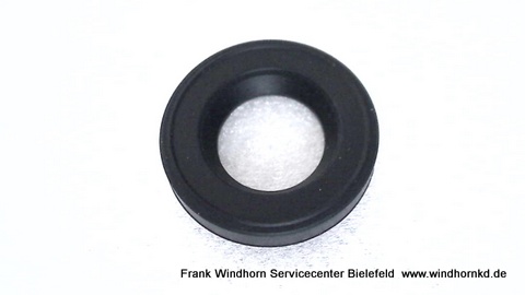Water Inlet Seal