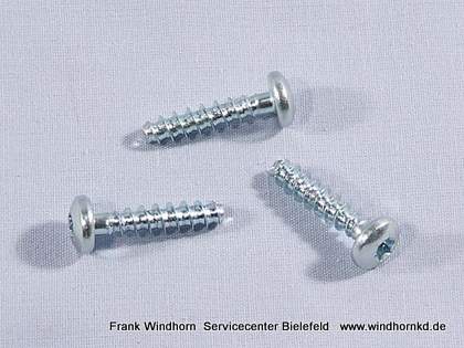 Schrauben T20 Motorhalterung