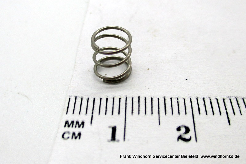 Feder des Hakenzylinders