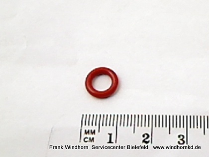 O-Ring