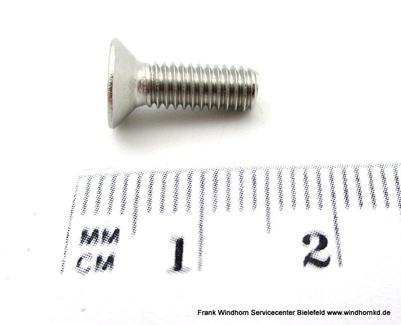 Schraube M4x12 DIN965 TORX T20