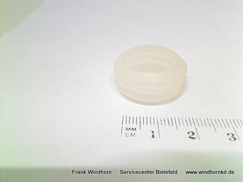 untere Dichtung (Wassertank)