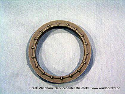 Dichtungsing Planetengetriebe