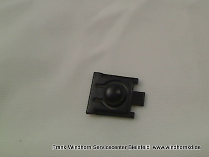 schwarze Feder