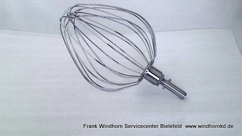 Schneebesen Major 