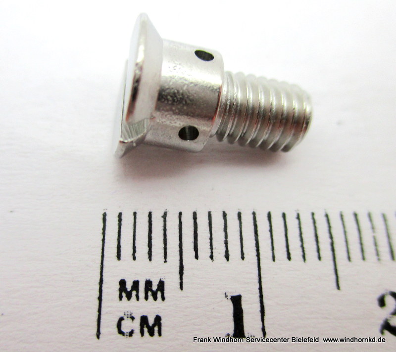 Screw for Steam Filter