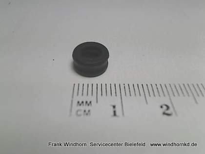O-Ring