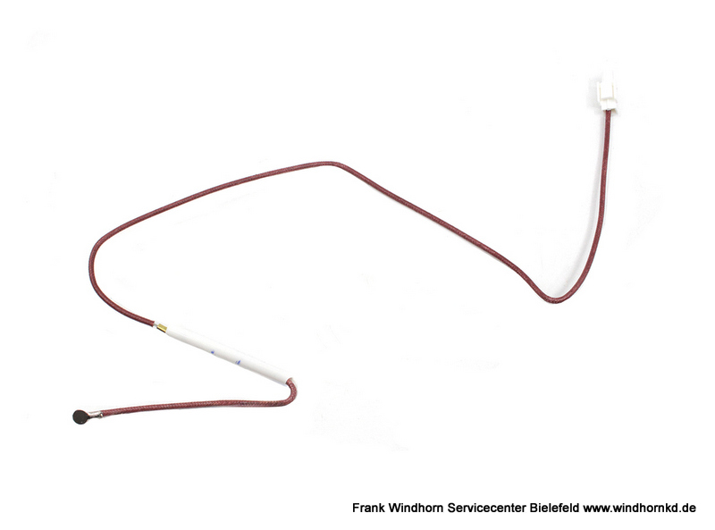 Coffee Boiler Fuse 240V PD from 1828