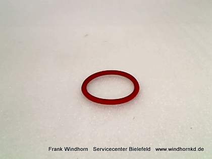 Dichtung (schieber)